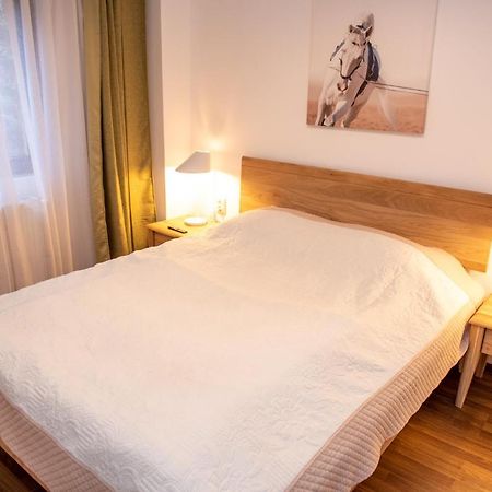 Classic Apartment Near The City Center Kluż-Napoka Zewnętrze zdjęcie