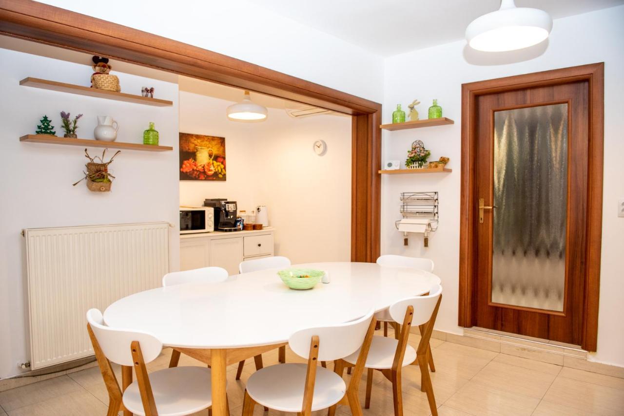 Classic Apartment Near The City Center Kluż-Napoka Zewnętrze zdjęcie