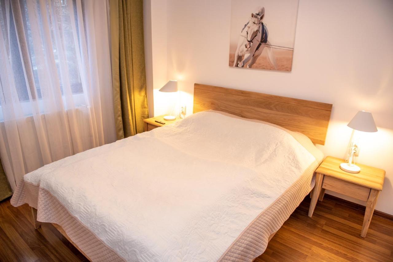Classic Apartment Near The City Center Kluż-Napoka Zewnętrze zdjęcie