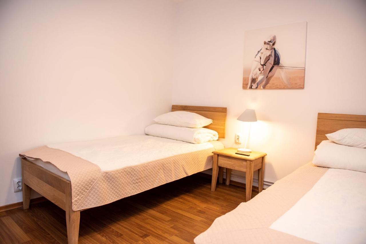 Classic Apartment Near The City Center Kluż-Napoka Zewnętrze zdjęcie