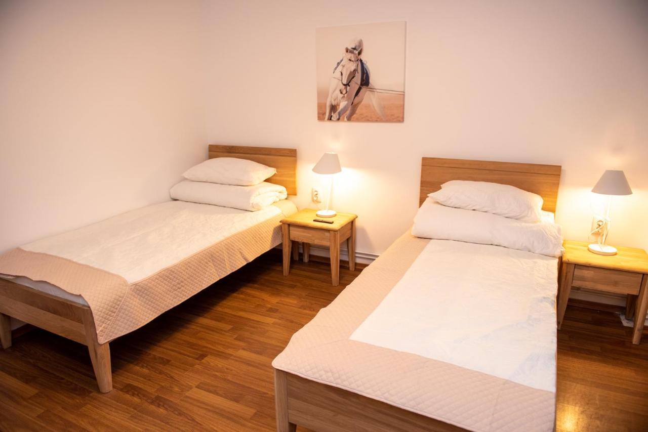 Classic Apartment Near The City Center Kluż-Napoka Zewnętrze zdjęcie