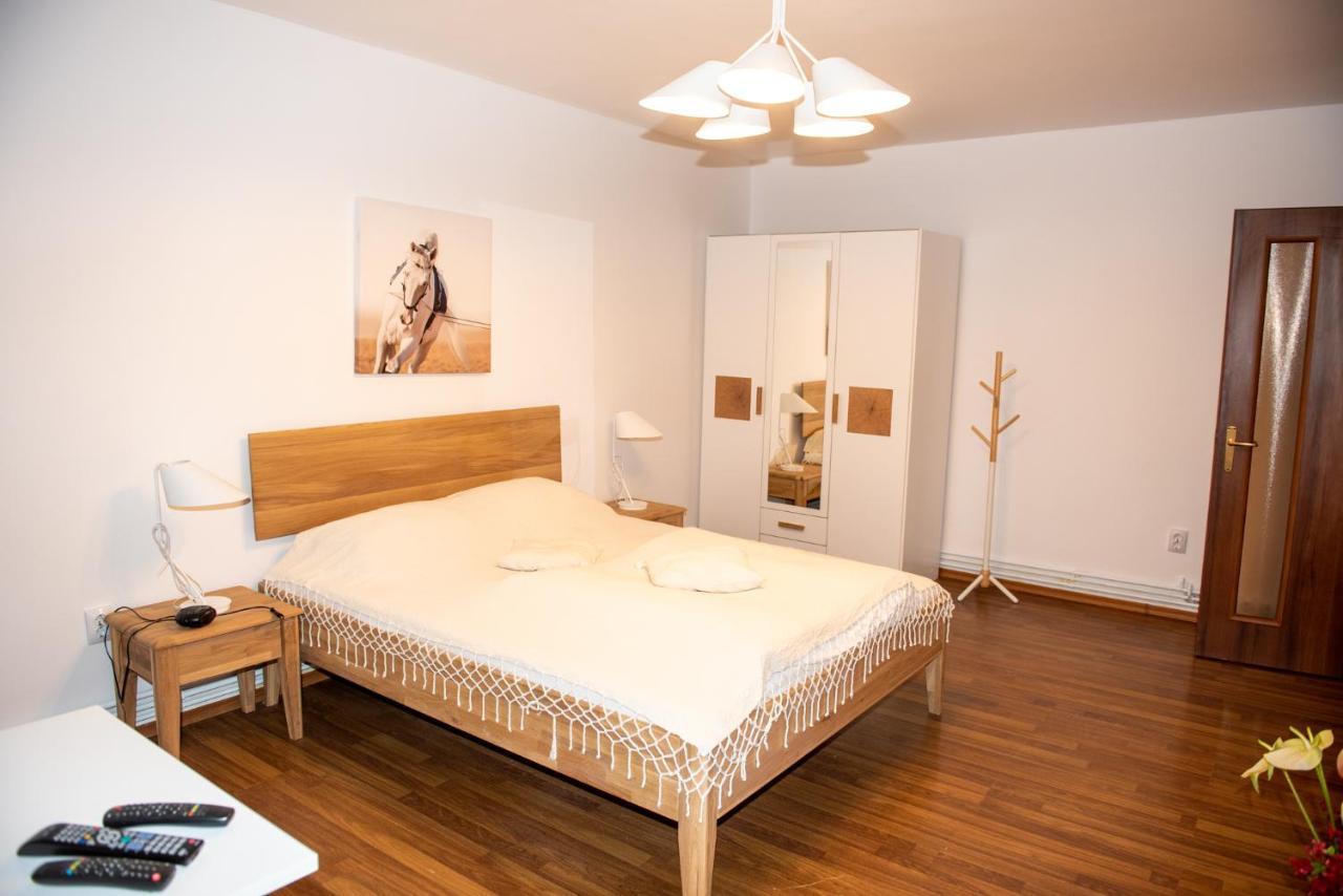 Classic Apartment Near The City Center Kluż-Napoka Zewnętrze zdjęcie